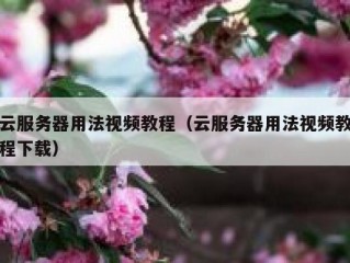 云服务器用法视频教程（云服务器用法视频教程下载）