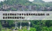 抖音点赞粉丝下单平台是真的吗还是假的（抖音点赞购买便宜平台）