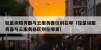 轻量级服务器与云服务器区别在哪（轻量级服务器与云服务器区别在哪里）