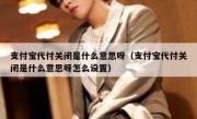 支付宝代付关闭是什么意思呀（支付宝代付关闭是什么意思呀怎么设置）