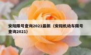 安阳限号查询2021最新（安阳机动车限号查询2021）