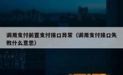 调用支付前置支付接口异常（调用支付接口失败什么意思）