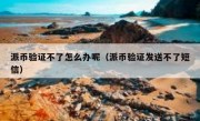 派币验证不了怎么办呢（派币验证发送不了短信）