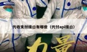 代收支付接口有哪些（代付api接口）