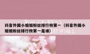 抖音外国小姐姐粉丝排行榜第一（抖音外国小姐姐粉丝排行榜第一是谁）