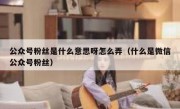 公众号粉丝是什么意思呀怎么弄（什么是微信公众号粉丝）