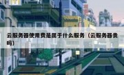 云服务器使用费是属于什么服务（云服务器贵吗）