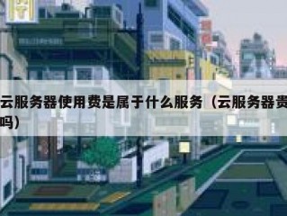 云服务器使用费是属于什么服务（云服务器贵吗）