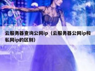 云服务器查询公网ip（云服务器公网ip和私网ip的区别）