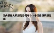 国内最强大的服务器是哪个（中国最强的服务器）