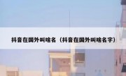 抖音在国外叫啥名（抖音在国外叫啥名字）