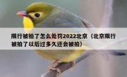 限行被拍了怎么处罚2022北京（北京限行被拍了以后过多久还会被拍）