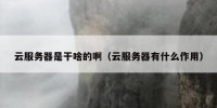 云服务器是干啥的啊（云服务器有什么作用）