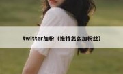 twitter加粉（推特怎么加粉丝）