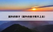 国外的梯子（国外的梯子爬不上去）