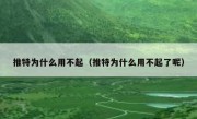 推特为什么用不起（推特为什么用不起了呢）