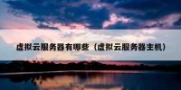 虚拟云服务器有哪些（虚拟云服务器主机）