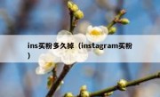 ins买粉多久掉（instagram买粉）
