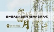 国外最火的抖音视频（国外抖音很火吗）