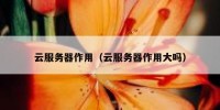 云服务器作用（云服务器作用大吗）