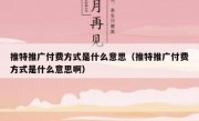推特推广付费方式是什么意思（推特推广付费方式是什么意思啊）