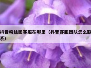 抖音粉丝团客服在哪里（抖音客服团队怎么联系）