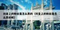 抖音上的粉丝是怎么弄的（抖音上的粉丝是怎么弄的呢）