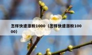 怎样快速涨粉1000（怎样快速涨粉10000）