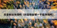 抖音粉丝挣钱吗（抖音粉丝够一千能挣钱吗）