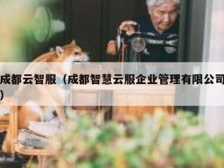 成都云智服（成都智慧云服企业管理有限公司）
