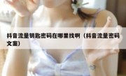 抖音流量钥匙密码在哪里找啊（抖音流量密码文案）