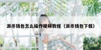 派币钱包怎么操作视频教程（派币钱包下载）