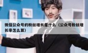 微信公众号的粉丝增长是什么（公众号粉丝增长率怎么算）