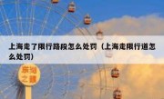 上海走了限行路段怎么处罚（上海走限行道怎么处罚）