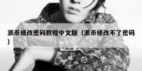 派币修改密码教程中文版（派币修改不了密码）