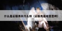 什么是云服务长什么样（云服务是啥意思啊）