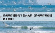 杭州限行道路走了怎么处罚（杭州限行那些道路不能走）