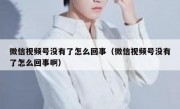 微信视频号没有了怎么回事（微信视频号没有了怎么回事啊）