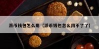 派币钱包怎么用（派币钱包怎么用不了了）
