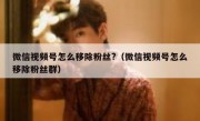 微信视频号怎么移除粉丝?（微信视频号怎么移除粉丝群）