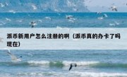 派币新用户怎么注册的啊（派币真的办卡了吗现在）