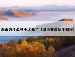 派币为什么登不上去了（派币登录新手教程）