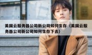 美国云服务器公司新公司如何生存（美国云服务器公司新公司如何生存下去）