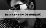 国内主流服务器型号（国内服务器品牌）