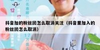 抖音加的粉丝团怎么取消关注（抖音里加入的粉丝团怎么取消）