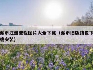 派币注册流程图片大全下载（派币旧版钱包下载安装）