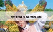 派币去哪里挖（派币挖矿流程）