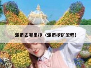 派币去哪里挖（派币挖矿流程）