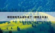 樱花现在怎么进不去了（樱花上不去）