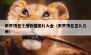 派币钱包注册教程图片大全（派币钱包怎么注册）
